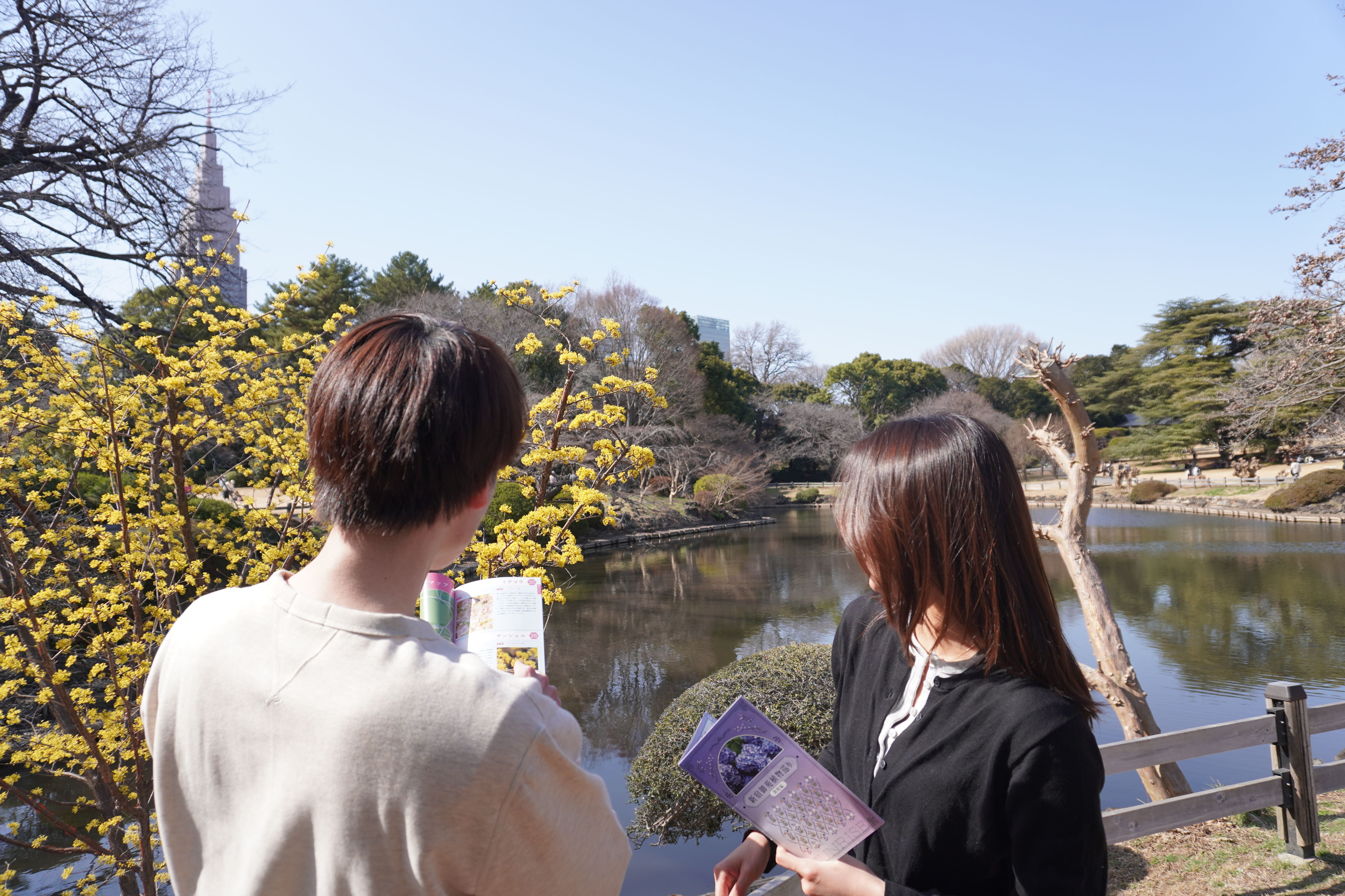 DSC04256.JPG