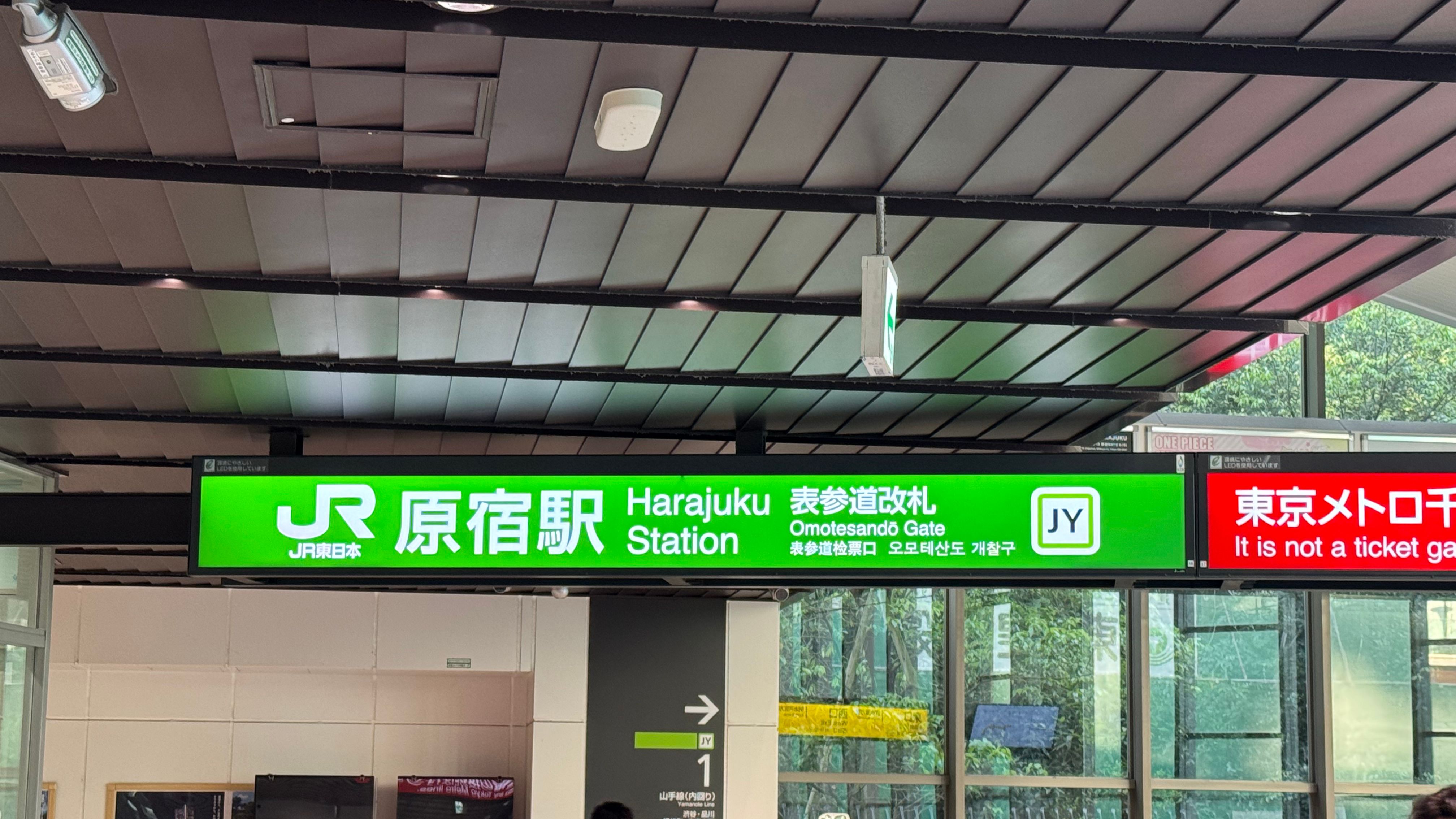 IMG_1517.jpeg