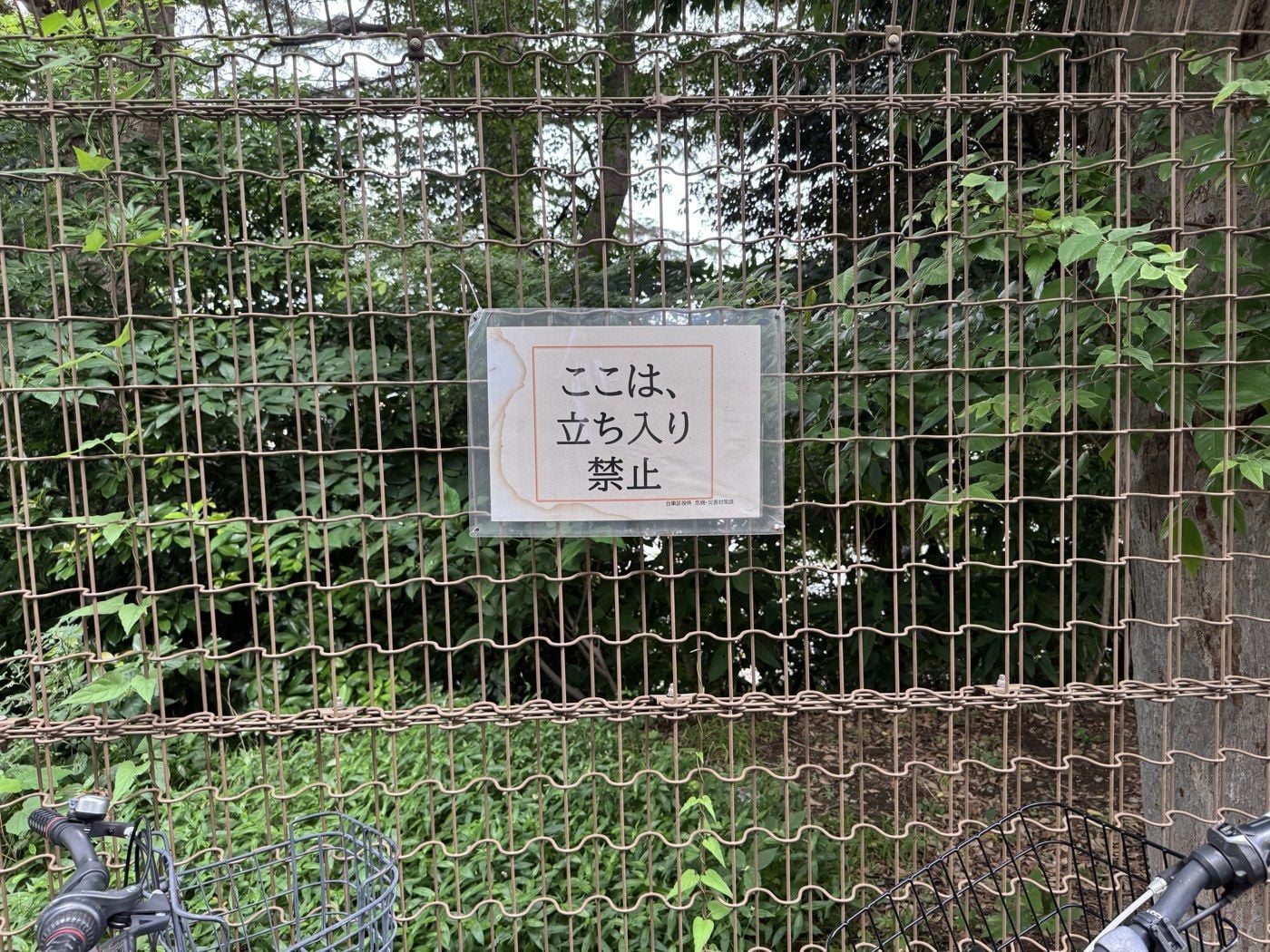 ayashisugiru_17_v2_87f2d7f636.jpg